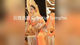 云宫迅音 Celestial Symphony