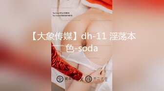 【大象传媒】dh-11 淫荡本色-soda