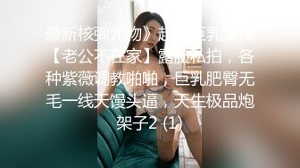 最新核弹尤物》超级巨乳女神【老公不在家】露脸私拍，各种紫薇调教啪啪，巨乳肥臀无毛一线天馒头逼，天生极品炮架子2 (1)