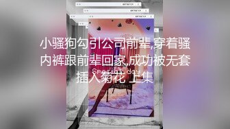 小骚狗勾引公司前辈,穿着骚内裤跟前辈回家,成功被无套插入菊花 上集