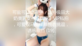 可盐可甜女菩萨，推特极品大奶美乳女神【糕糕】VIP私拍，可爱双马尾裸舞脱衣挑逗，诱惑难挡 (19)