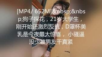 [MP4/ 652M]&nbsp;&nbsp;狗子探花，21岁大学生，刚开始还激烈反抗，D罩杯美乳是今夜最大惊喜， 小骚逼没少被男友干真紧