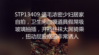 STP13409 逼毛浓密少妇居家自拍，卫生间自摸道具假屌吸玻璃抽插，开裆丝袜大屌骑乘，扭动屁股抠逼非常诱人