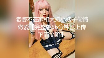 老婆不在家和大奶小姨子偷情做爱【完整版56分钟已上传下面简阶】