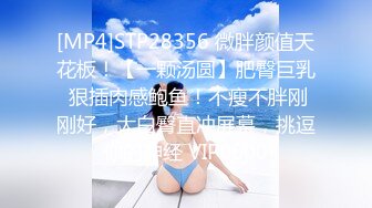 [MP4]STP28356 微胖颜值天花板！【一颗汤圆】肥臀巨乳 狠插肉感鲍鱼！不瘦不胖刚刚好，大白臀直冲屏幕，挑逗你的神经 VIP0600