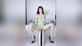 芭比 (11)