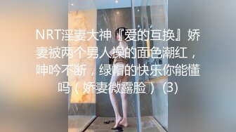 NRT淫妻大神『爱的互换』娇妻被两个男人操的面色潮红，呻吟不断，绿帽的快乐你能懂吗（娇妻微露脸） (3)