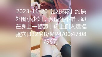 2023-11-20【赵探花】约操外围小少妇，颜值还不错，趴在身上一顿舔，床上侧入爆操骚穴[332MB/MP4/00:47:08/567]