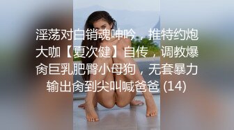 淫荡对白销魂呻吟，推特约炮大咖【夏次健】自传，调教爆肏巨乳肥臀小母狗，无套暴力输出肏到尖叫喊爸爸 (14)