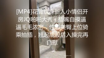 [MP4]花臂纹身新人小情侣开房JQ啪啪大秀，插嘴自摸逼逼毛毛浓密，性感美臀上位骑乘抽插，翘起屁股后入操完再自慰