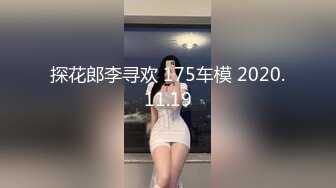 探花郎李寻欢 175车模 2020.11.19