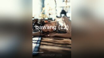 bawang (12)