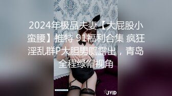 2024年极品夫妻【大屁股小蛮腰】推特 91福利合集 疯狂淫乱群P大胆男厕露出，青岛全程绿帽视角