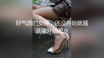 好气质的女神，还没开始就骚逼就开始流水